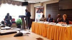 The Sanitation Task Force of AMCOW meets in Gabon to establish its sub-committees